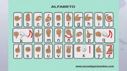 El lenguaje braille y de señas debe incorporarse en la educación básica