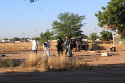 Encuentran a una persona asesinada en Terranova