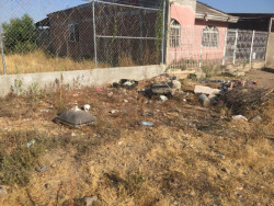 Escuelas convertidas en tiradero de basura