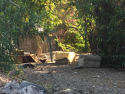 Arroyo por la Matías Rodríguez necesita ser limpiado