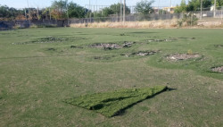 Se tiene un proyecto para la rehabilitación del campo deportivo Jimmy Ruiz