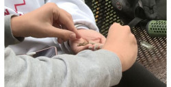 El Senado de México aprueba ley para regular la marihuana recreativa