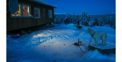 Este pueblo de Alaska acaba de entrar en la "noche polar" y no verá el sol hasta 2021