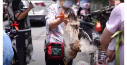 Graban el mercado de animales de Wuhan: no ha cambiado desde el inicio del brote de Covid-19