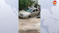 Pierde el control del automóvil y termina en una jardinera