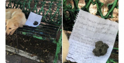 "Por favor adóptalo": niño deja nota junto a su perro porque sus familiares lo maltrataban