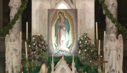 No habrá peregrinación el Día de la Virgen de Guadalupe en Mazatlán