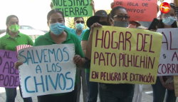 Exigen a SEMARNAT investigación de construcción en Isla de los Chivos
