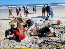 Erosión causada por la tormenta Eta descubre navío del siglo XIX en Florida