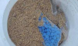 En botes de medicamento de uso veterinario, aseguran tres mil pastillas de fentanilo