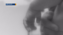 Los niños y las niñas se deben de proteger de la violencia familiar y sexual