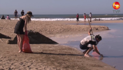 Piden a hoteles que limpien su playa
