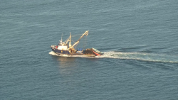 Capturas muy bajas en altamar reportan pescadores
