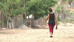 Actualizarán padrones de apoyos sociales en Mazatlán