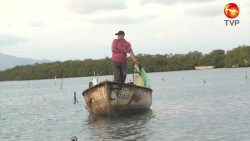 Van por la regularización de la pesca nacional
