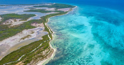 El análisis del ADN ambiental permite saber el número de peces de los océanos