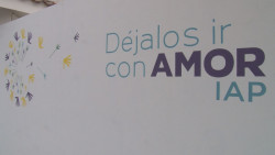 Se incrementan las terapias en Déjalos Ir con Amor, a raíz de la pandemia