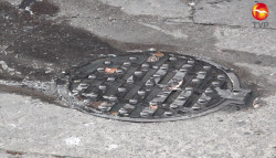 "Brotan" aguas negras de alcantarilla de la calle Luis Zúñiga