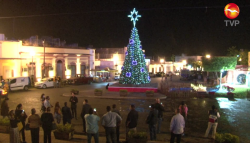 Iluminan pino navideño en Rosario
