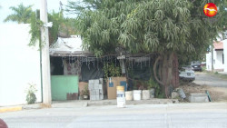 Se adueña de la calle a ojos de las autoridades