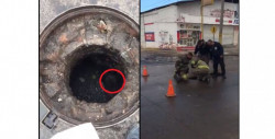 Video: bomberos rescatan a perro que cayó en alcantarilla destapada