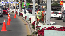 Se ausentaron las Noche Buenas junto al Malecón