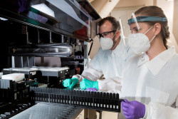 Detectando el Alzheimer en la sangre