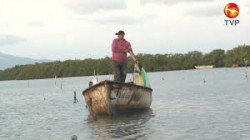 La Comisión de Pesca acuerda un incremento de 30 mdp en el presupuesto
