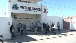 Paran labores vectores en Mazatlán