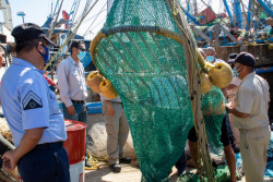 Conapesca capacita a elementos de la SEMAR sobre el manejo de Dispositivos Excluidores de Tortugas Marinas