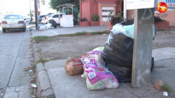 Batallan cada semana con la recolección de basura
