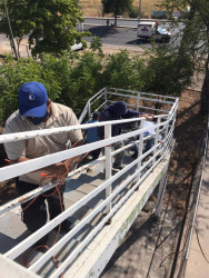 Retiran cuarto puente peatonal