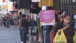 Detecta el IMSS a patrones que están dando de baja a sus trabajadores