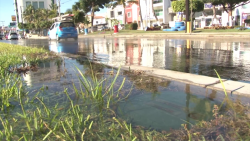 Fuerte fuga de agua potable sobre Avenida Rafael Buelna