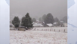 Reportan caída de nieve en sierra de Durango