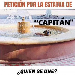 "Capitán” el perro que cuido las calles de Culiacán, piden una estatua