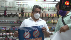 Será este 2021 un año ecológico para Mazatlán