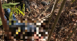 Encuentran cuerpo sin vida en San Ignacio