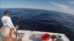 Despunta la pesca deportiva en Sinaloa
