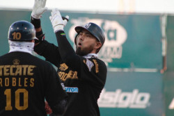 Jesse Castillo refuerzo de Tomateros