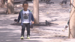 Llama el INE a niños, niñas y adolescentes a participar en sondeos