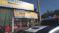 Asaltan birriería y balean a propietario..