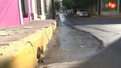 Se desperdician litros de agua en el Centro