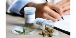 México publica el reglamento de marihuana medicinal a casi cuatro años de haberse aprobado por el congreso