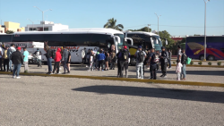 Siguen llegando turistas en grandes grupos a Mazatlán