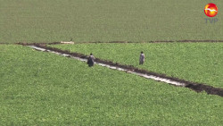 Esperan una estocada más al campo sinaloense