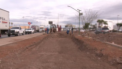 Se reforestara entrada norte de la Ciudad