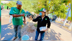 En el verde van solos a la contienda electoral