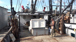 80 por ciento de pescadores del mar están desempleados