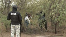 Realizan búsqueda masiva colectivos de desaparecidos